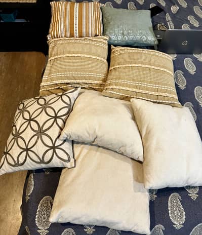 Branded Sofa cushion each (2 thousand)