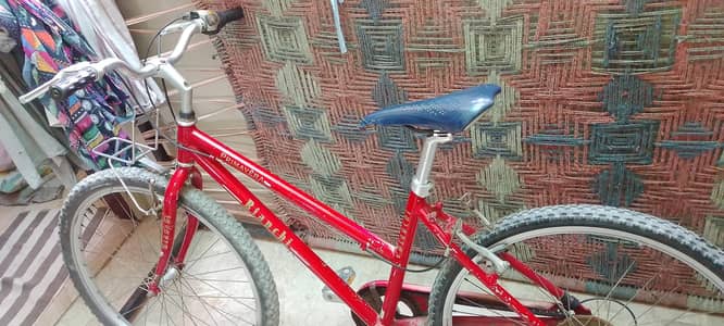 bianchi cycle all oky