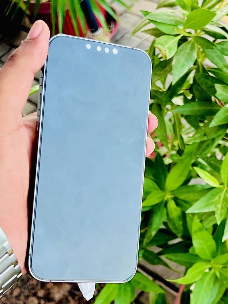 iPhone 13 Pro Max 3