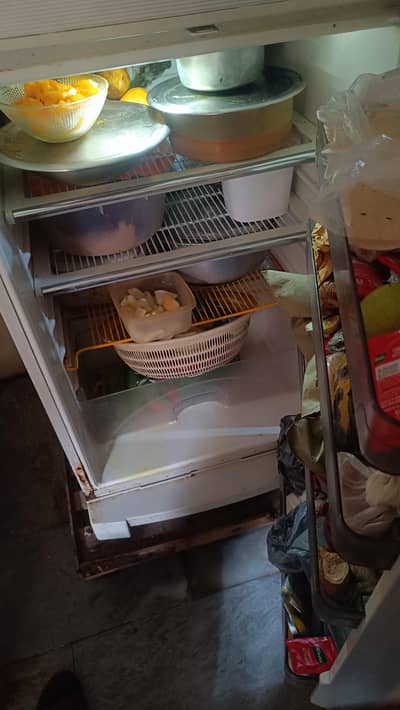 Dawlenece Fridge DC Converted Recently