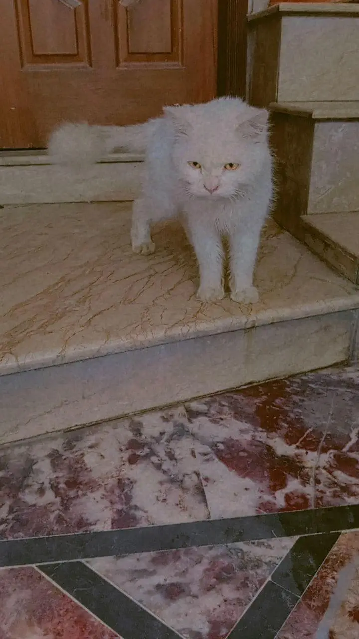 2 no male hai ek ky age hai  2 years 2 ky ago hai  5 mother — photo 2