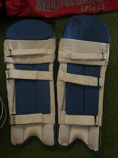 Cricket kit