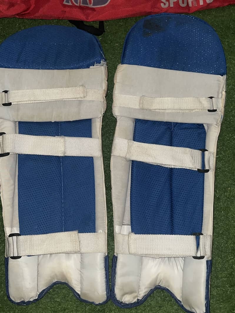 Cricket kit 1