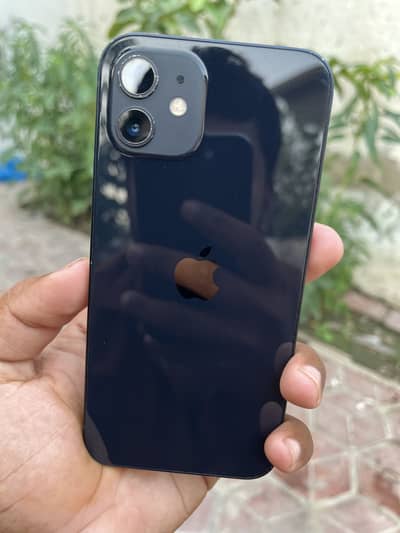 Apple IPhone 12