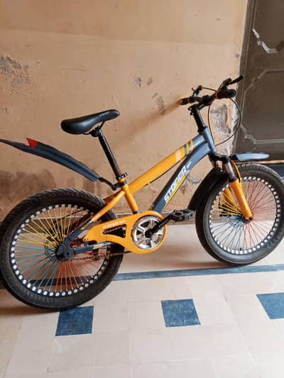 Kids Bicycle for Sale