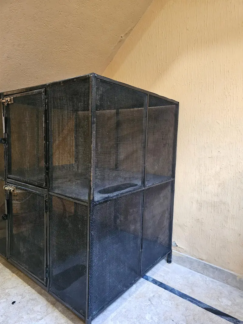 Cats or Birds Cages — photo 3