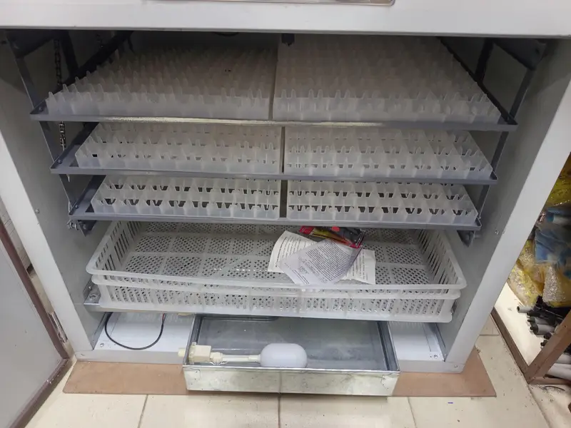 528 Eggs Fully Automatic Incubators 500 Eggs Machine Hatching Machine — photo 4