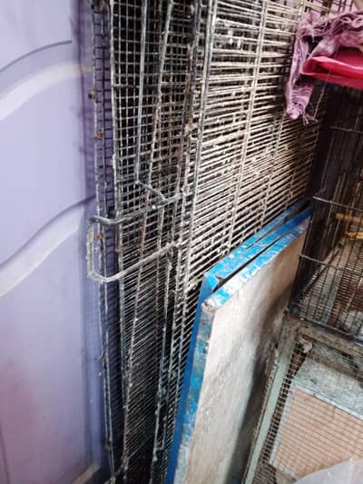 birds cage