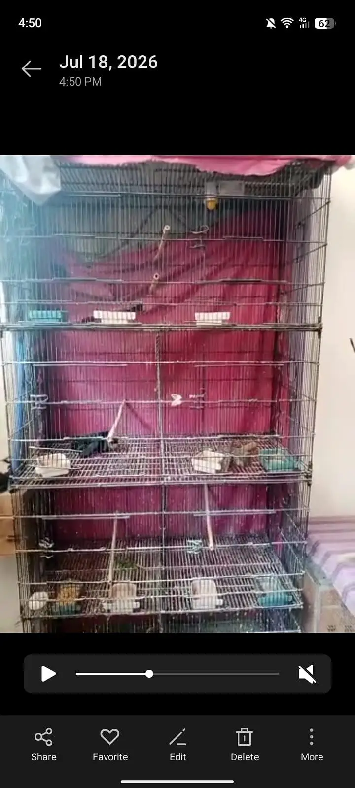 birds cage — photo 2