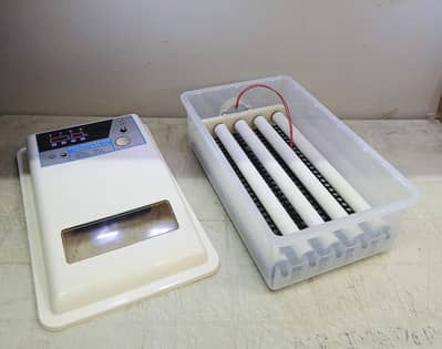 24 Eggs AC DC Incubator Automatic Eggs Hatching Machine Incubators