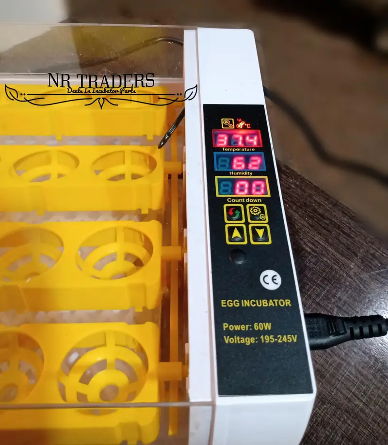 24 Eggs AC DC Incubator Automatic Eggs Hatching Machine Incubators — photo 6
