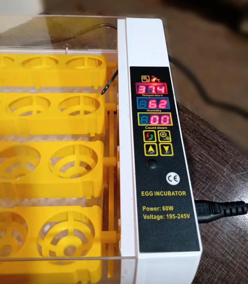 24 Eggs AC DC Incubator Automatic Eggs Hatching Machine Incubators — photo 8