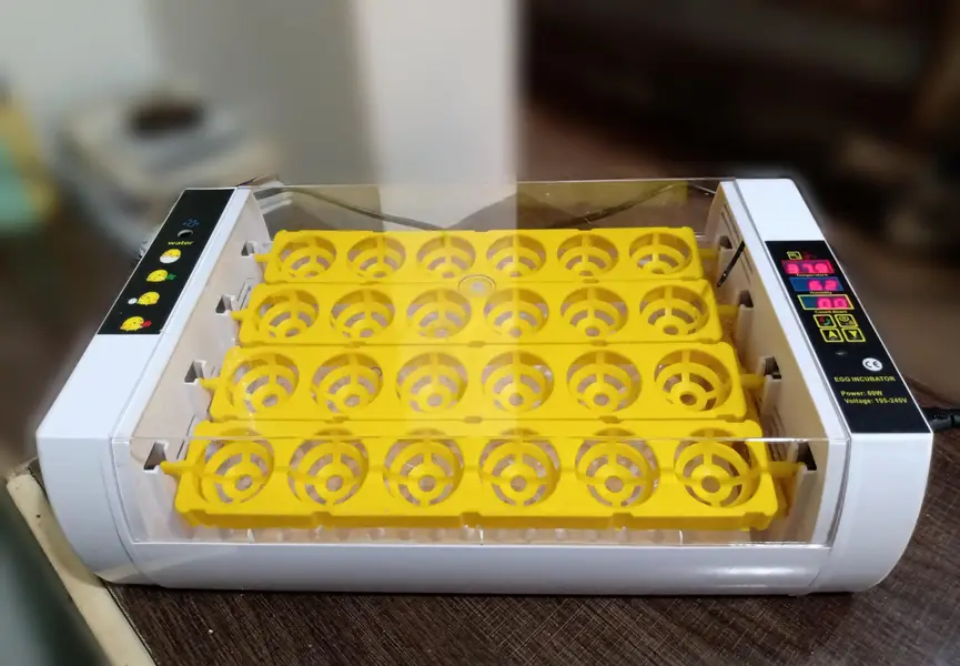 24 Eggs AC DC Incubator Automatic Eggs Hatching Machine Incubators — photo 9