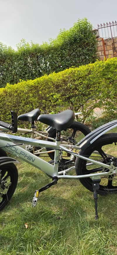 Dolphin 20" Alloy Mag Wheel Bicycles - 2 Bikes Available | Like New