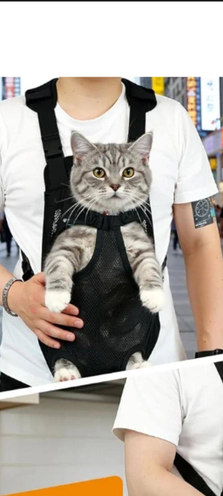 pawabo 1