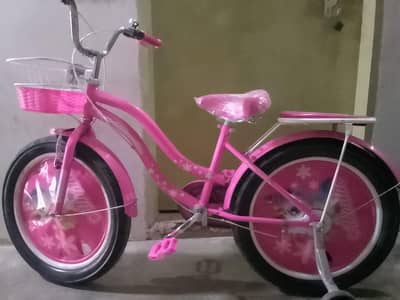 new cycle