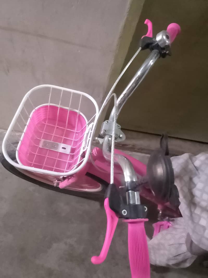 new cycle 2