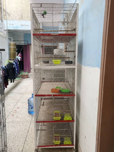  5 portions Heavy Duty Trolley Cage – Custom Made