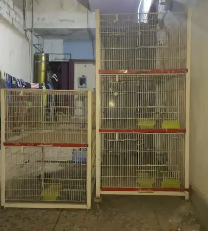  5 portions Heavy Duty Trolley Cage – Custom Made — photo 3