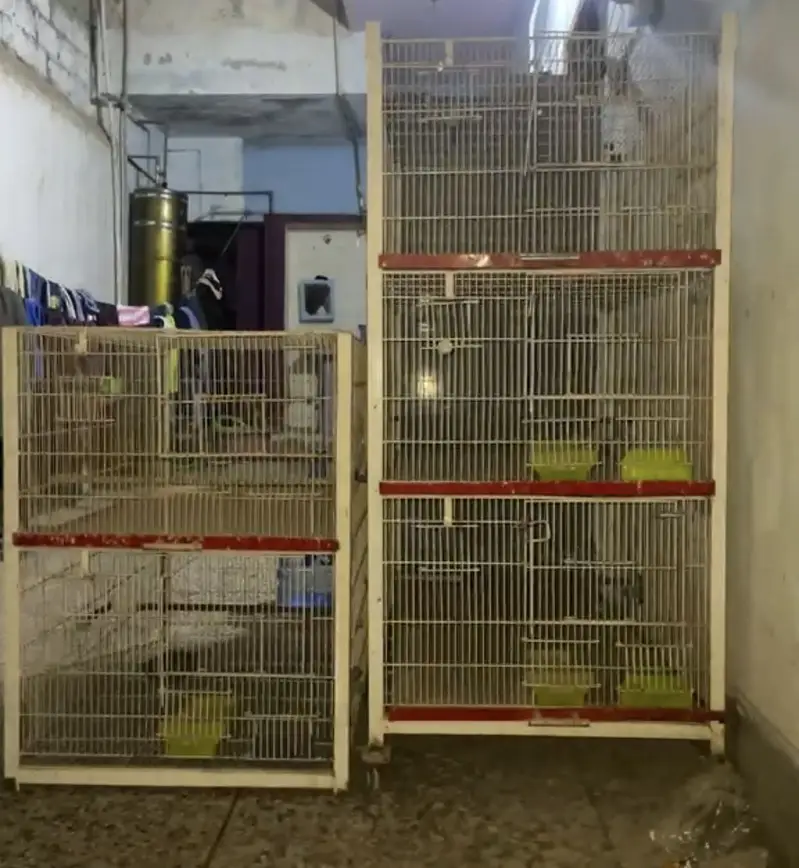  5 portions Heavy Duty Trolley Cage – Custom Made — photo 4