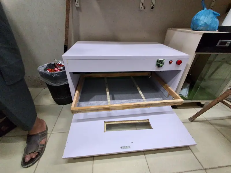 Manual Semi Automatic Incubator 100 Eggs 50 Eggs AC DC Incubator Machi — photo 6