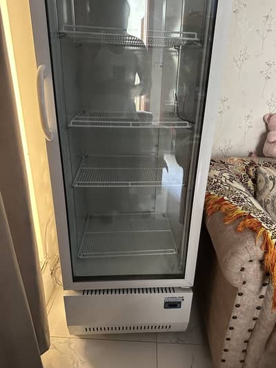 Chiller Fridge for Shop