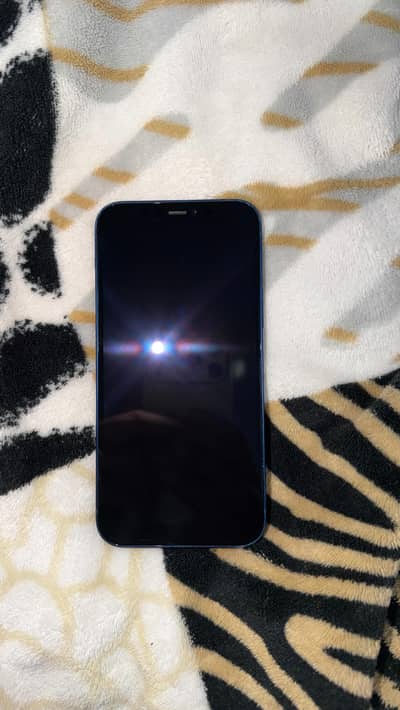 Apple iPhone 12 (PTA)