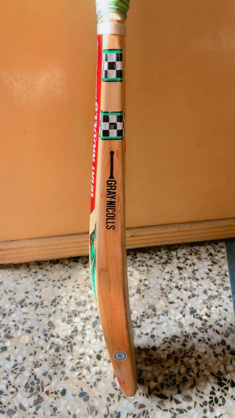 cricket bat 1