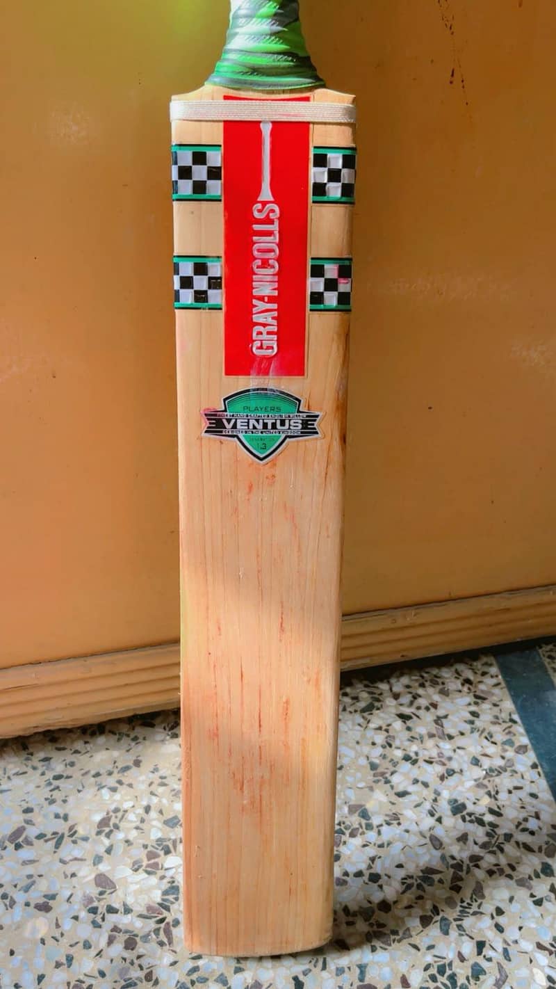 cricket bat 2