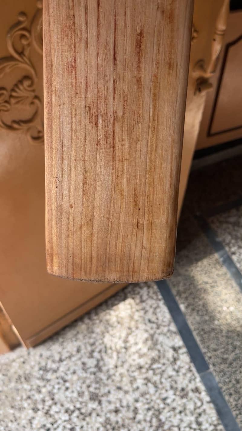 cricket bat 6