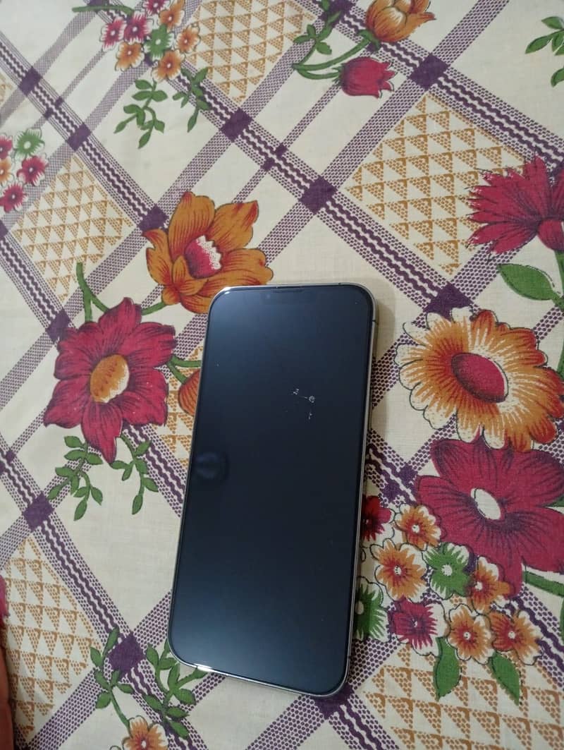 Iphone 13PM 3