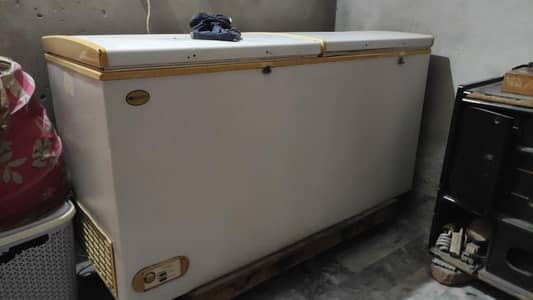 waves deep freezer 2 apartment