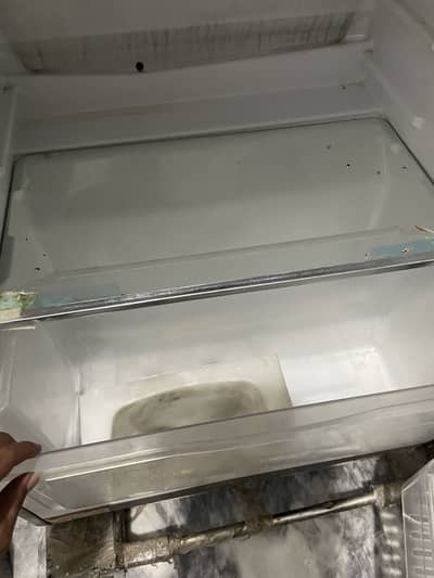 Haier Fridge