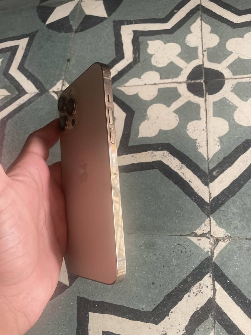 iPhone 13 Pro Max 2