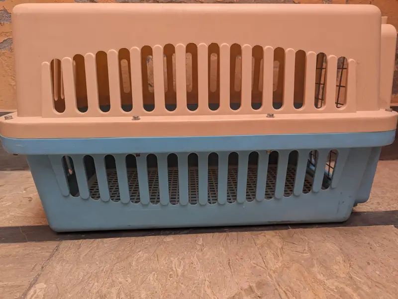 Cats Travel Box — photo 2