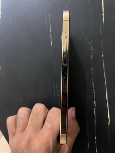 Apple iPhone 12 Pro Max