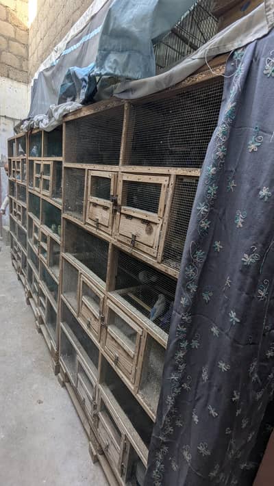 CAGE |PINJRA| WOOD
