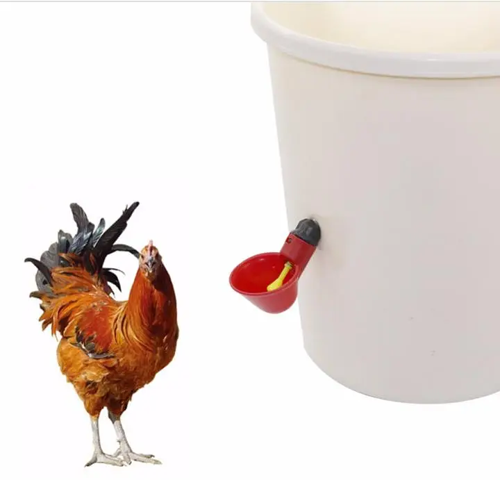Drinkers Feeders Poultry Cow Birds Goats Drinkers Automatic Drinkers — photo 9