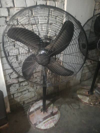 fan sale