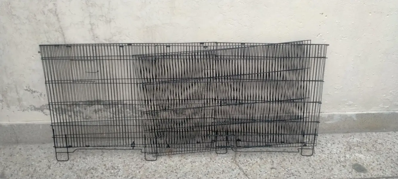 Iron cage — photo 2