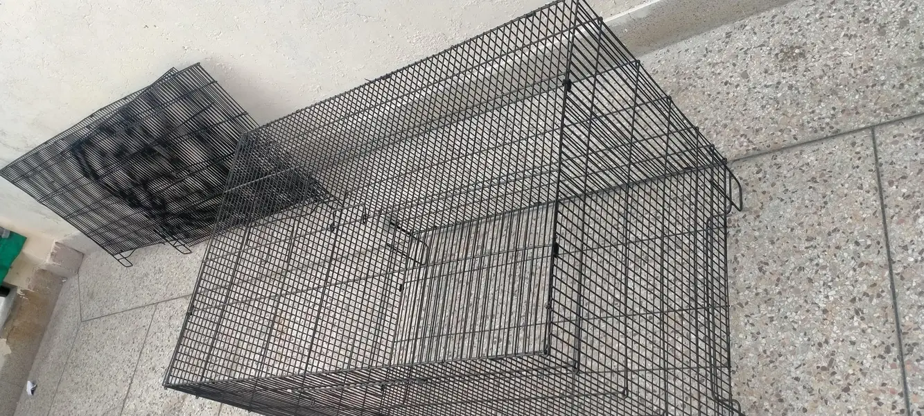 Iron cage — photo 4