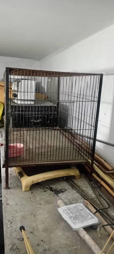 Parrots Cage