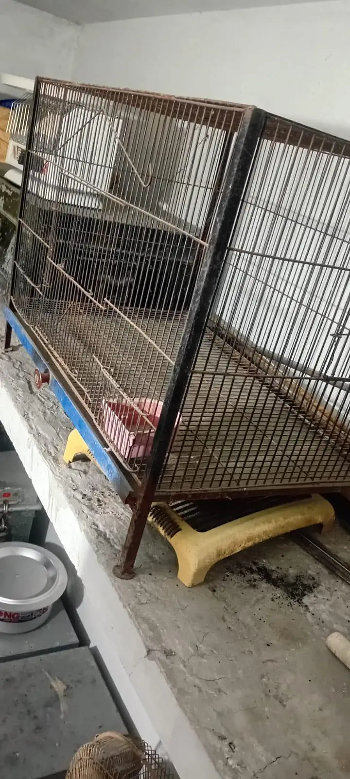 Parrots Cage — photo 2