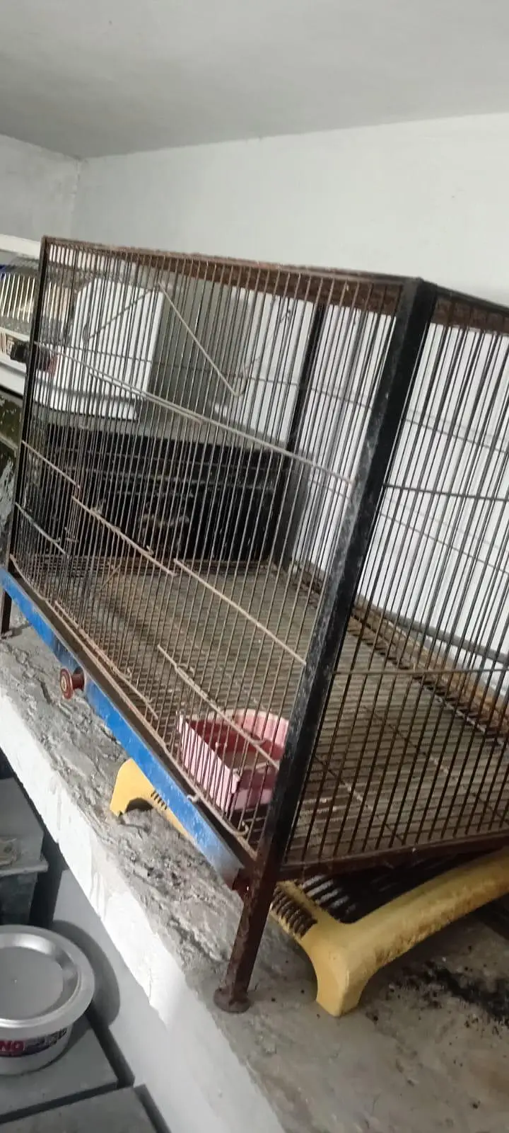 Parrots Cage — photo 3