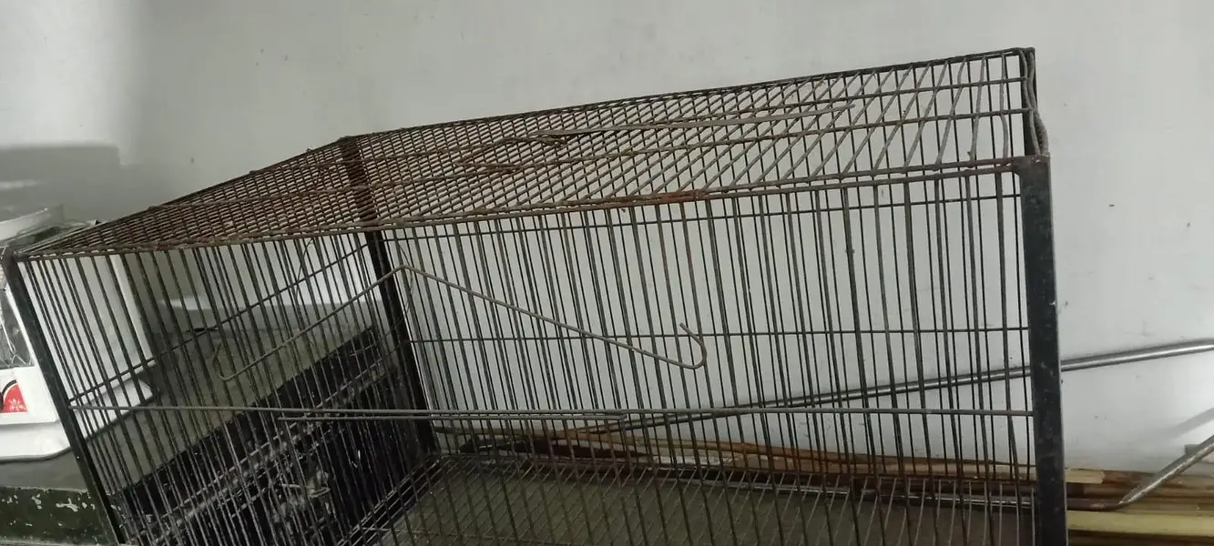 Parrots Cage — photo 4