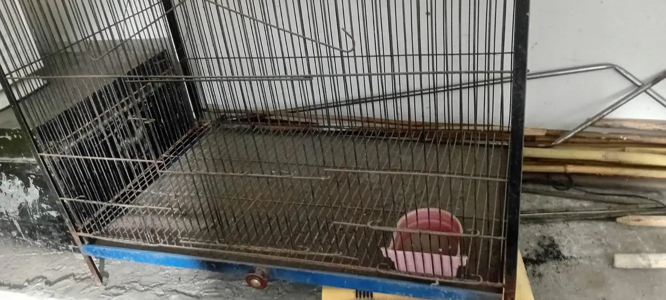 Parrots Cage — photo 5