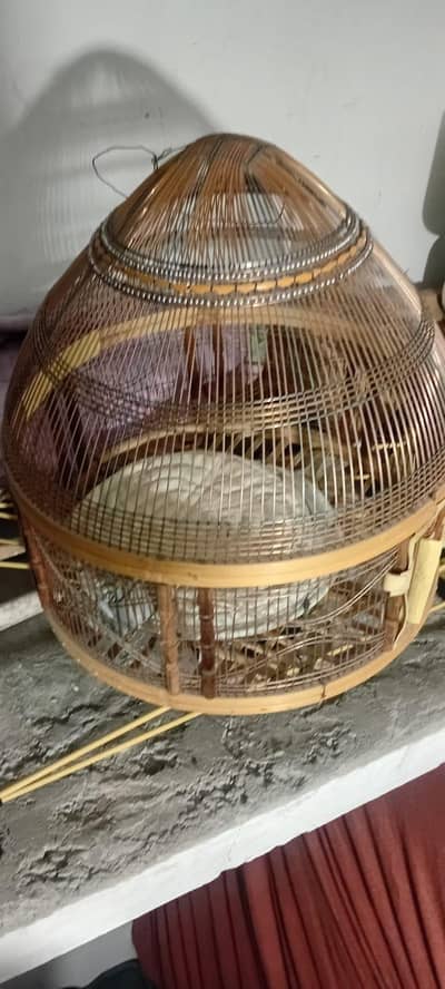 Teetr Cage