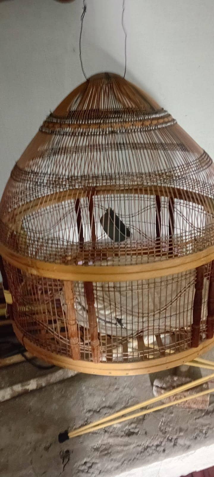 Teetr Cage 1