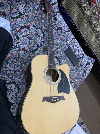 Guitar