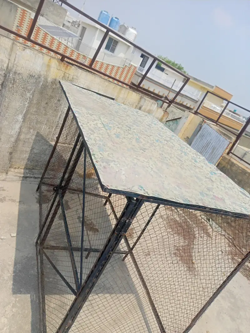 Hen's iron cage large size — photo 3